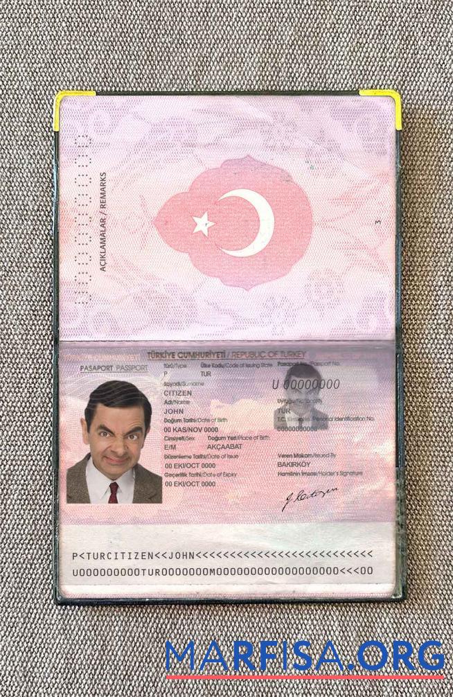 Printable Turkey passport OLD photo look real example